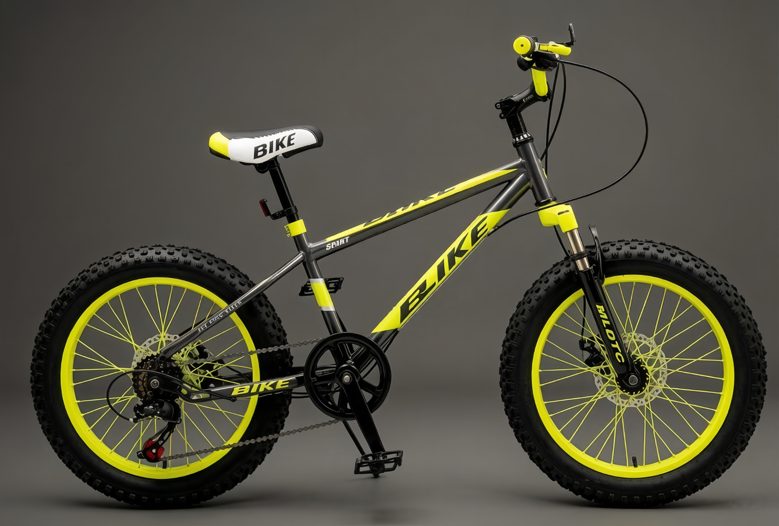 20-inch Fat Tire 7-Speed Disc Brake Series Kids Wide Tire Mountain Bike | OEM/ODM Factory Direct Supply