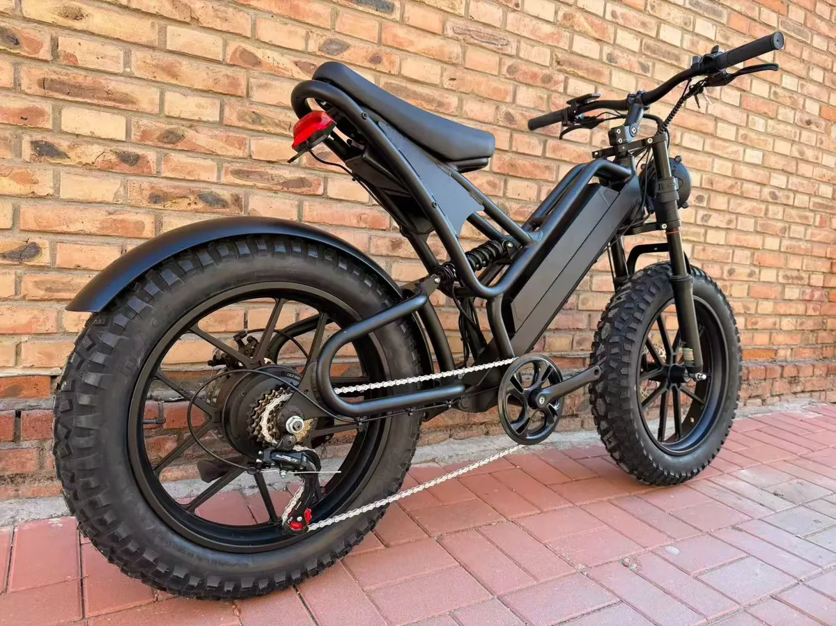 EN 15194 Electric Bicycle Certification Requirements Guide — CE Marking for the EU